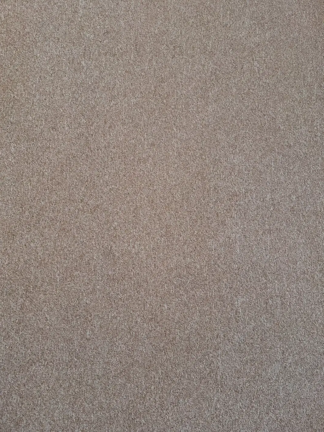 موکت نو|موکت|اهواز, گلستان|دیوار