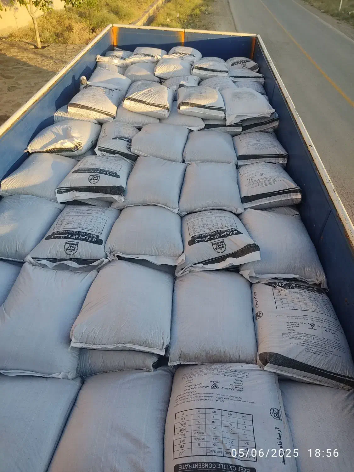 خواک دامی|حیوانات مزرعه|رزن, |دیوار