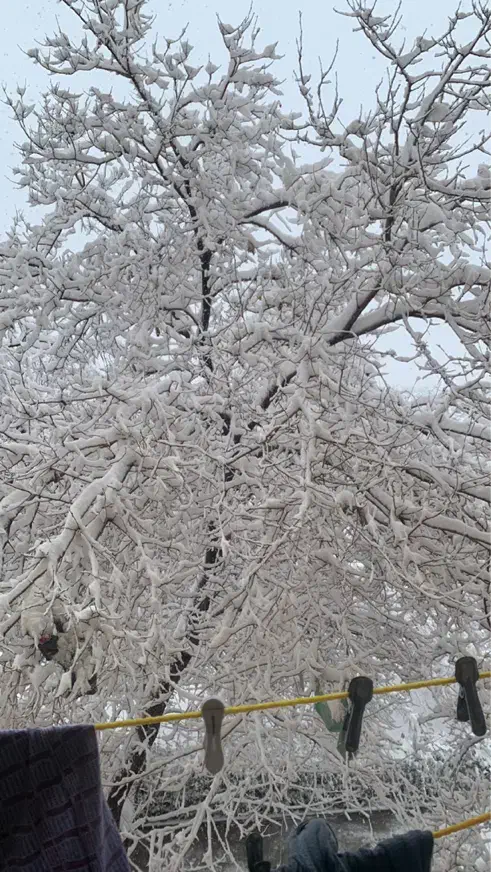 سیم کارت رند|سیم‌کارت|تهران, لاله زار|دیوار