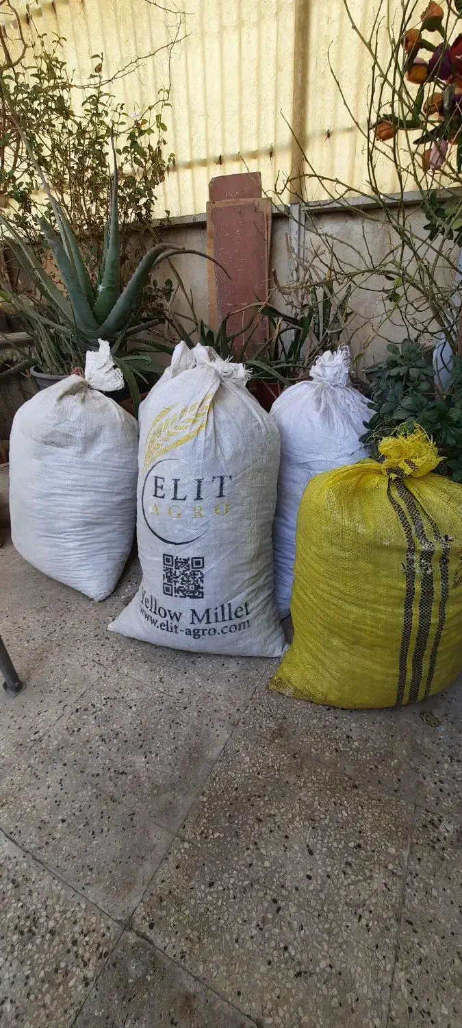 کود کبوتر|گل و گیاه طبیعی|تهران, تسلیحات|دیوار