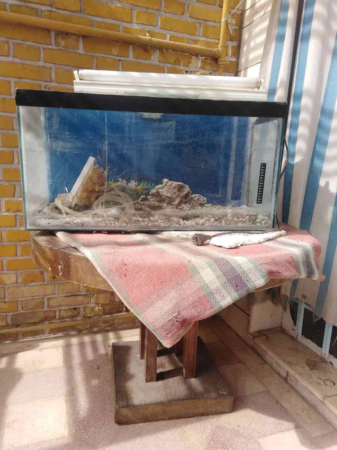 آکواریوم و میز گرد|ماهی|شیراز, شهرک جماران|دیوار