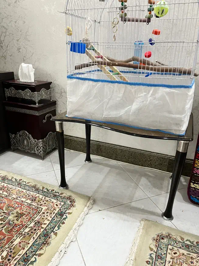 میز عسلی|مبلمان خانگی و میز عسلی|همدان, |دیوار