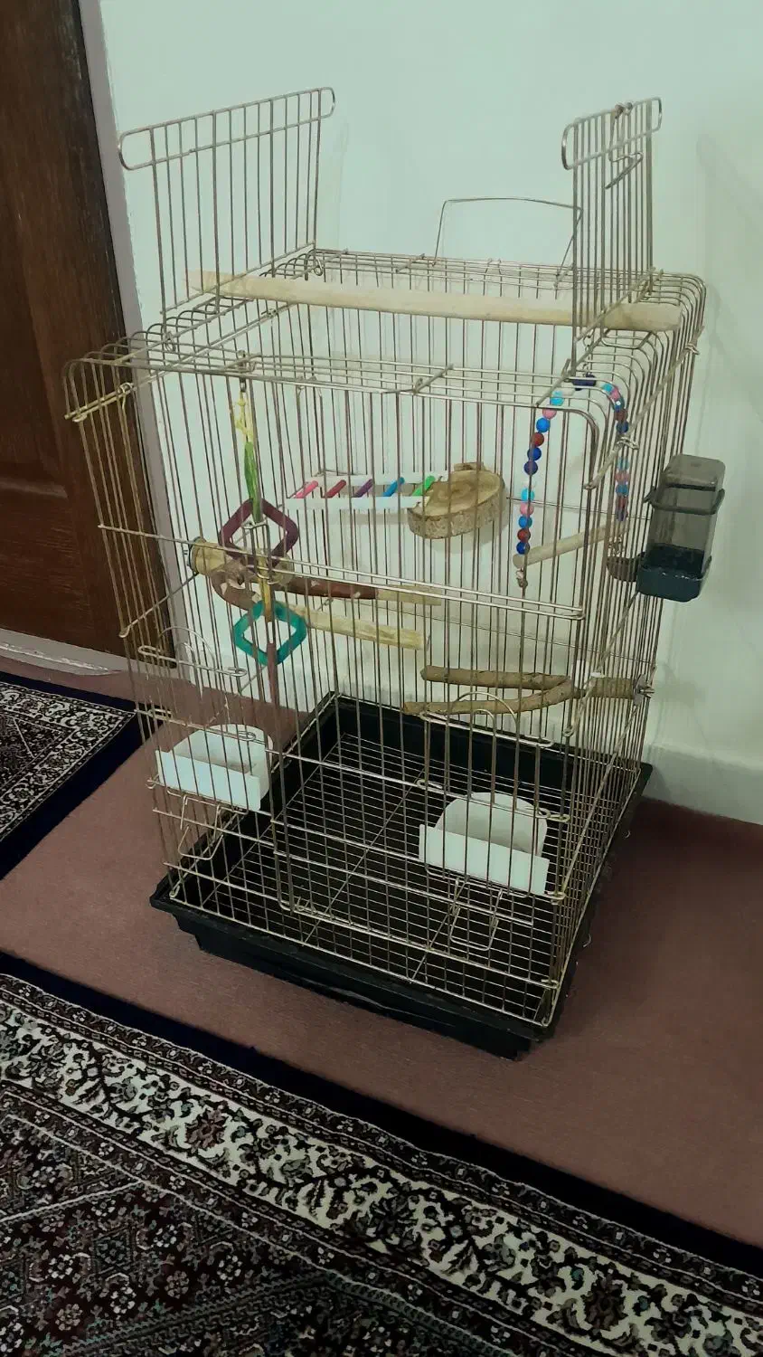 قفس|لوازم جانبی حیوانات|زنجان, |دیوار