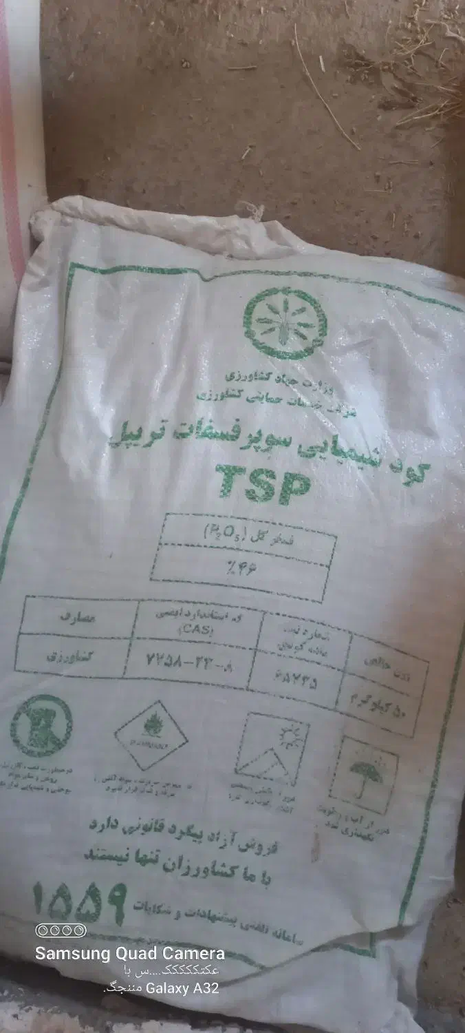 ۲عددکود ریشه ۱۷۵۰|حراج|اسفراین, |دیوار