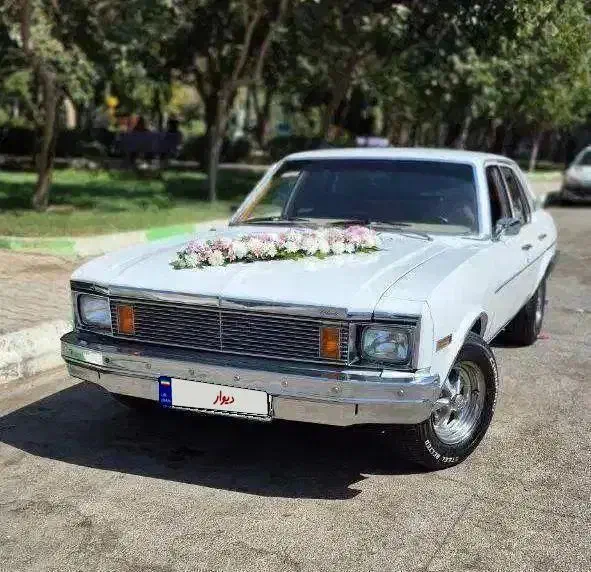 اجاره ی انواع ماشین عروس،کلاسیک باراننده خانم وآقا|خودرو اجارهای|مشهد, وکیلآباد|دیوار