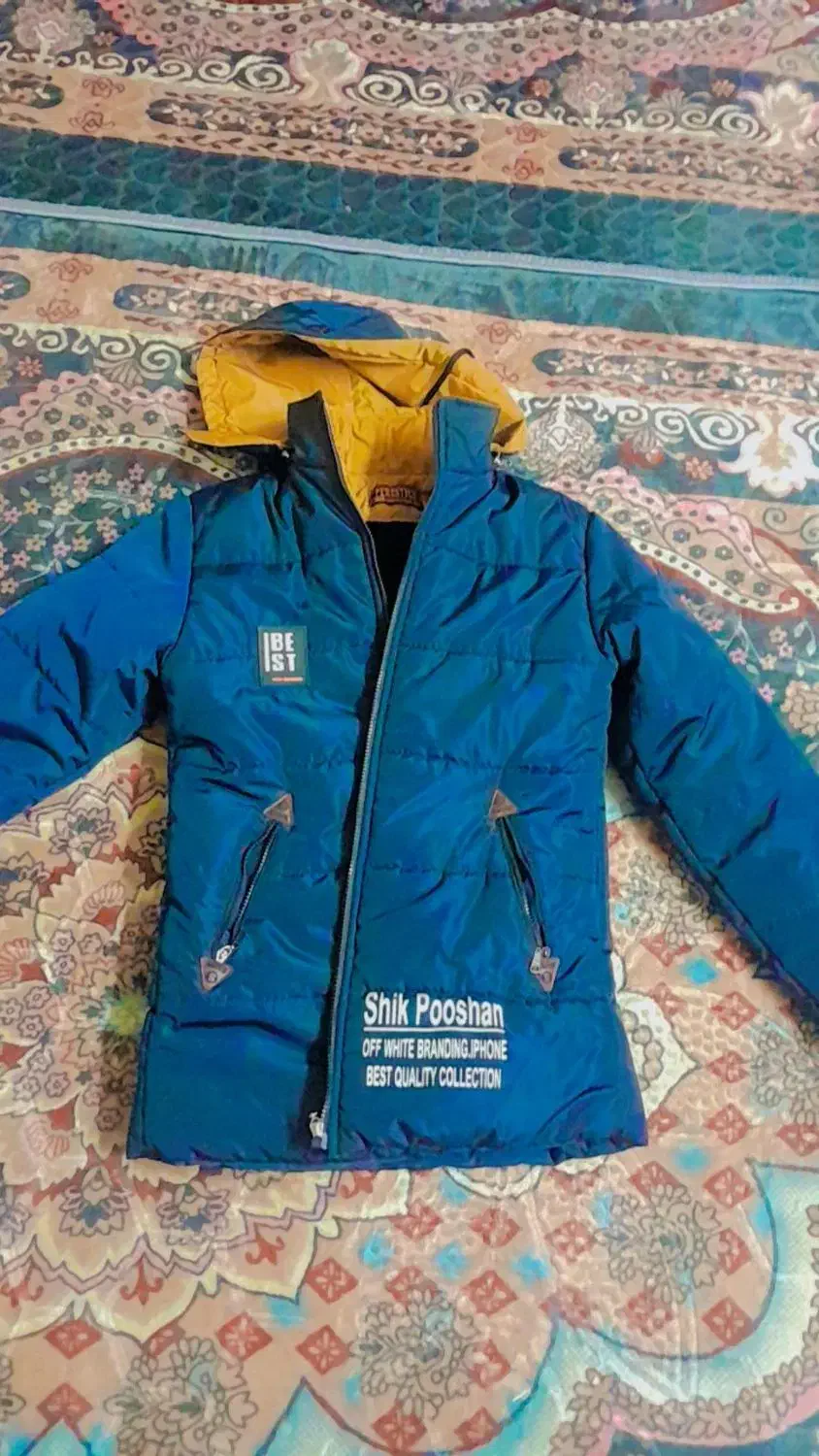 کاپشن|لباس|بندرعباس, |دیوار