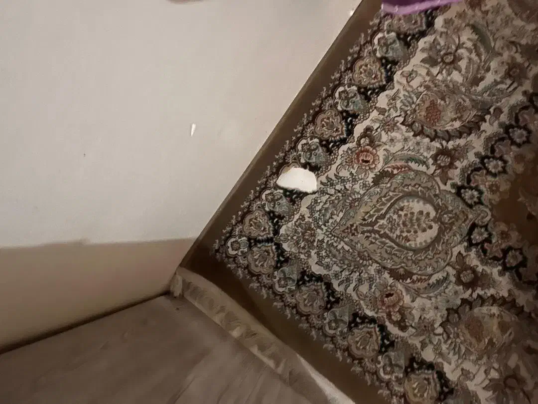 فرش ۹متری مناسب|فرش|تهران, تهرانسر غربی|دیوار