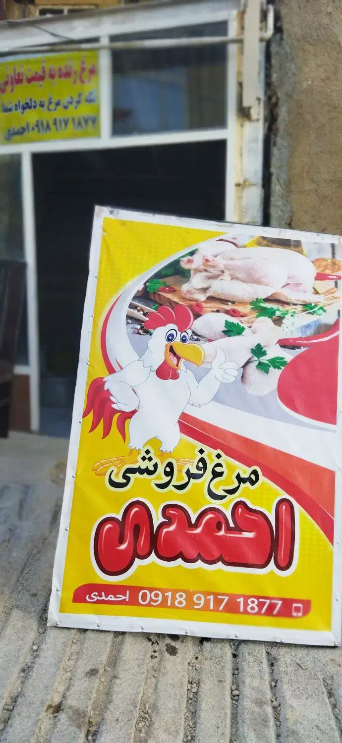 مرغ به نرخ تعاونی|عمده‌فروشی|جوانرود, |دیوار