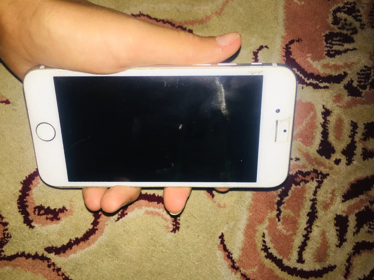 iPhone 8|موبایل|دیلم, |دیوار
