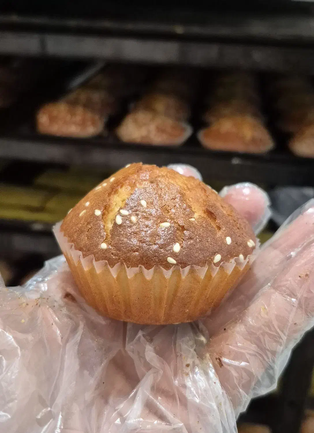 استخدام قناد|استخدام خدمات فروشگاه و رستوران|زاهدان, |دیوار