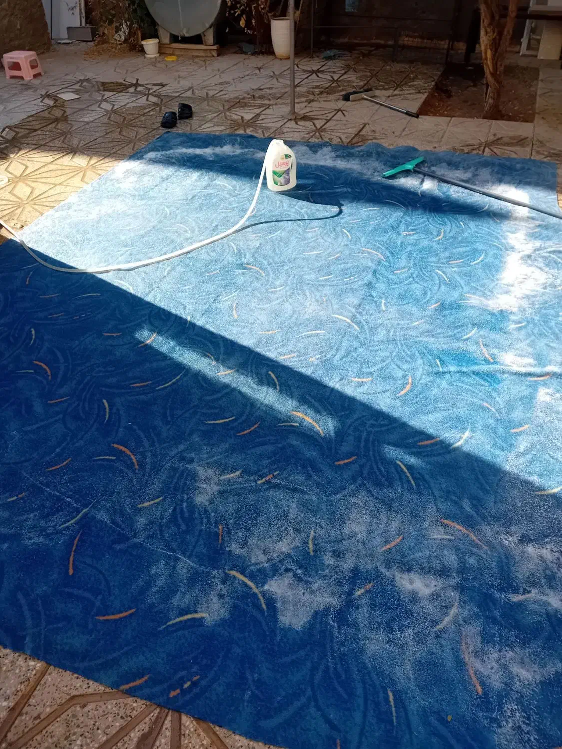 موکت|موکت|نجف‌آباد, یزدانشهر|دیوار