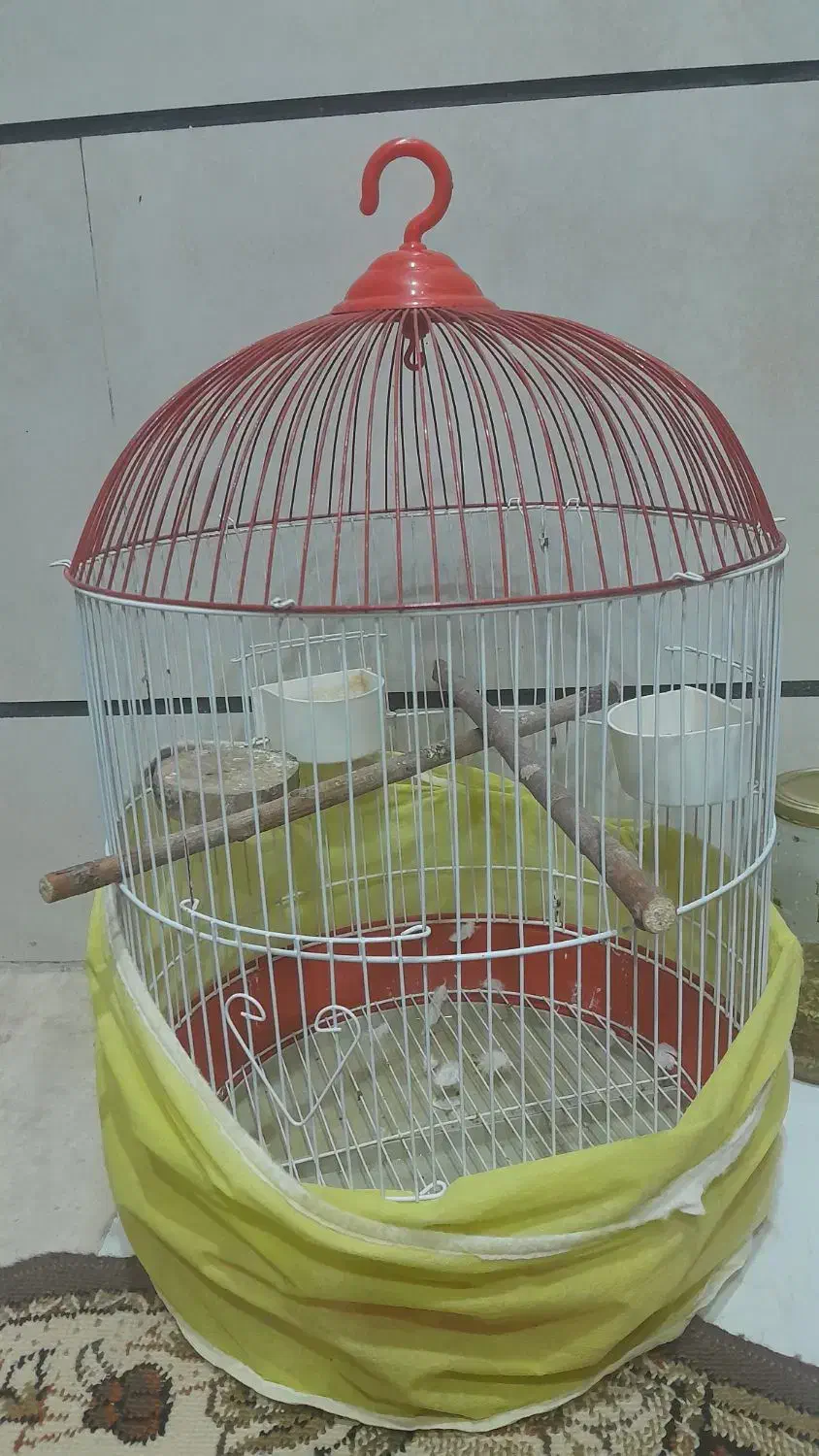 قفس پرنده|لوازم جانبی حیوانات|بروجرد, |دیوار