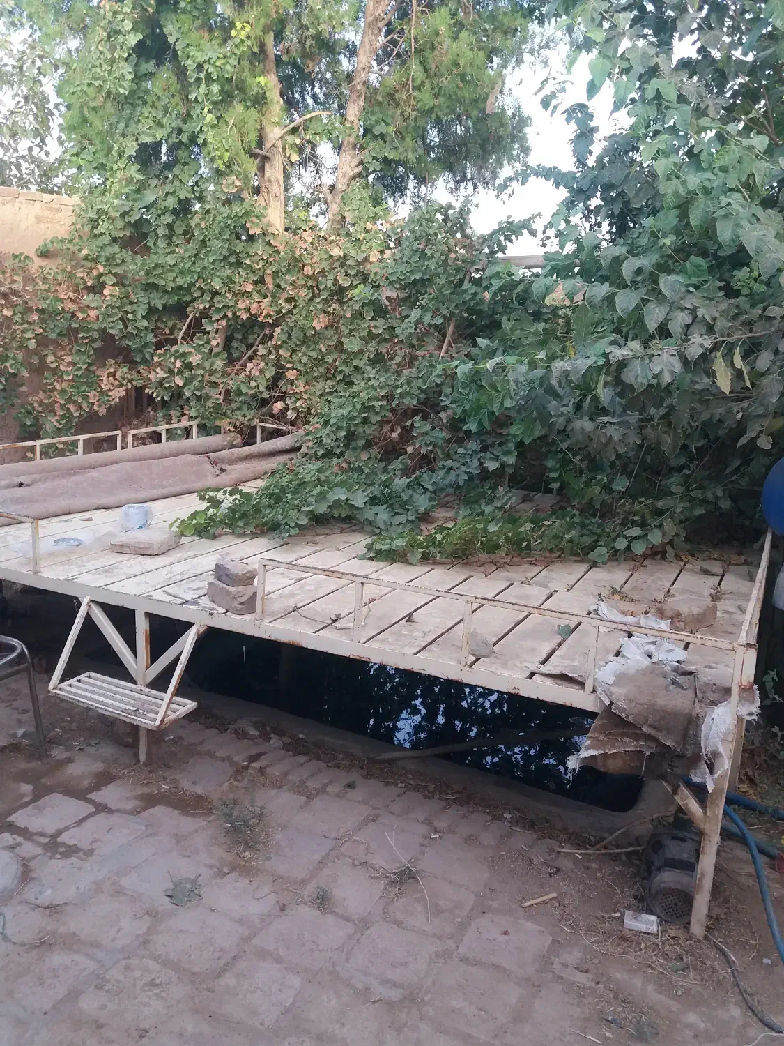 دامداری|فروش زمین و ملک کلنگی|کاشان, مزرعه نواب|دیوار