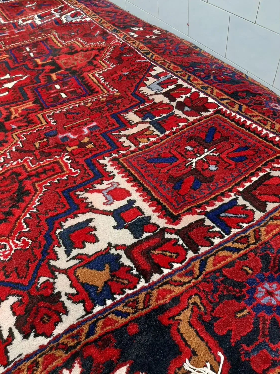 فروش فرش چشمه زن|فرش|مراغه, |دیوار