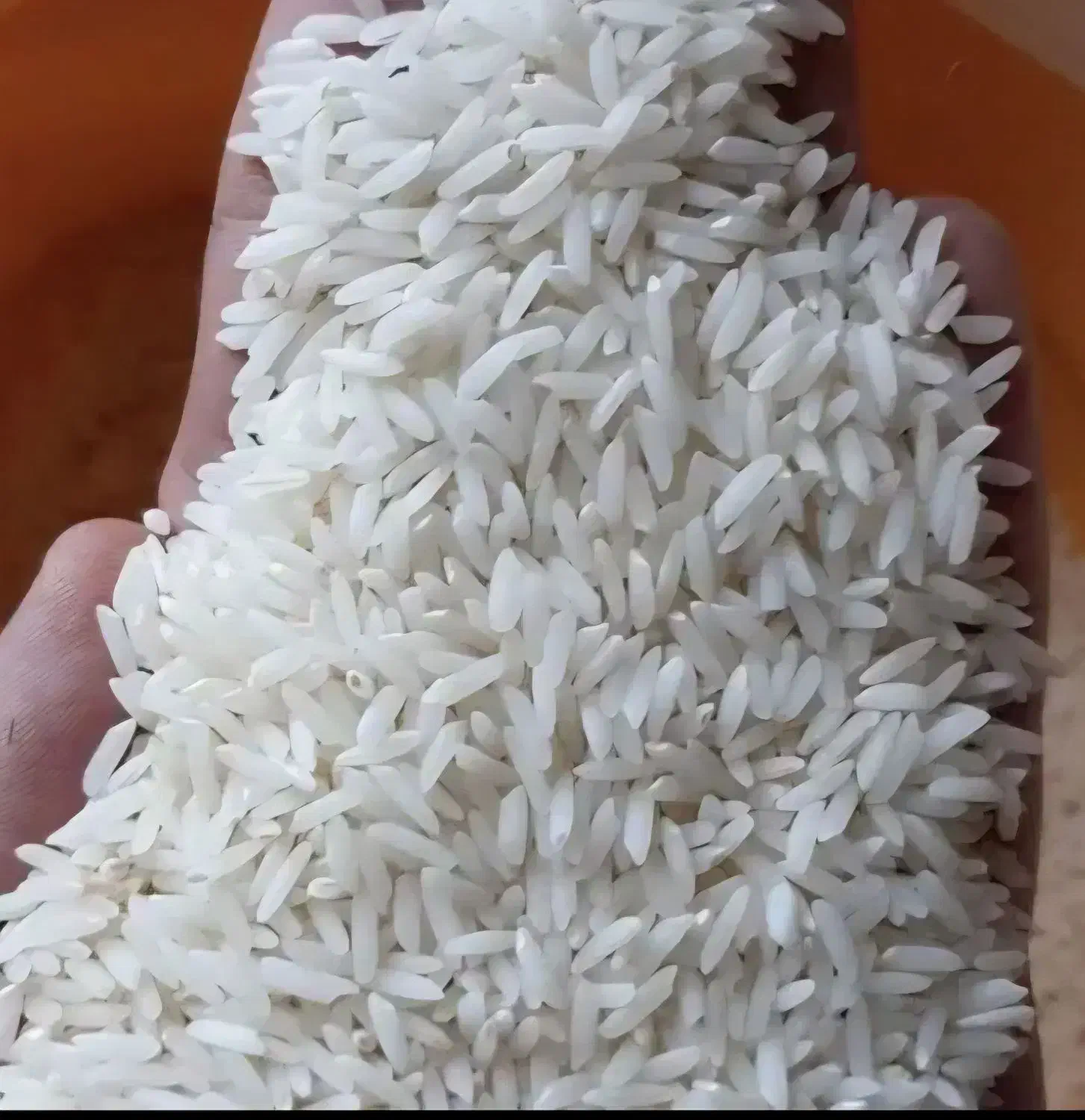 برنج هاشمی اصیل|خوردنی و آشامیدنی|لاهیجان, کوی زمانی|دیوار