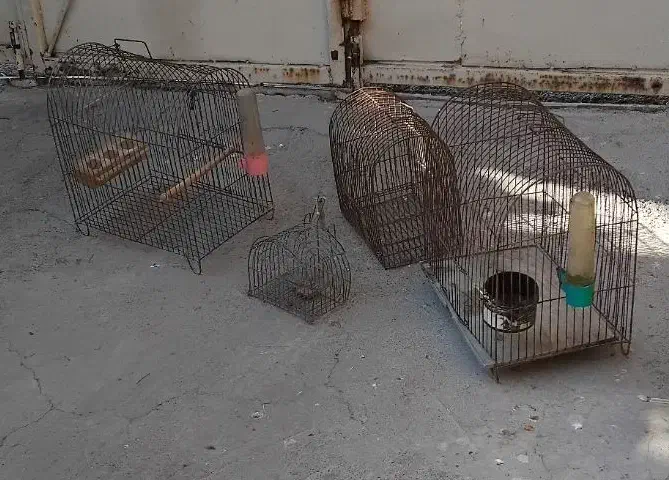 قفس|لوازم جانبی حیوانات|اسلام‌‌آباد غرب, |دیوار