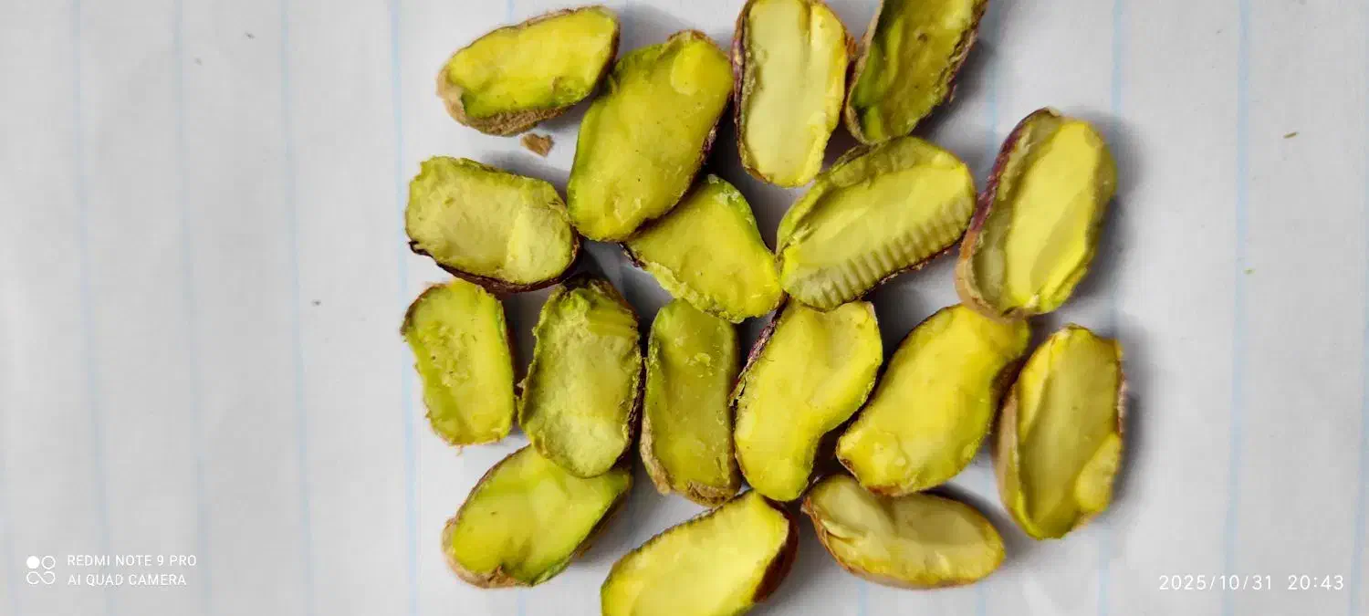 خرید و فروش مغز پسته|عمده‌فروشی|قم, آزادگان|دیوار