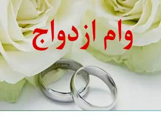 ضامن میشم|خدمات مالی، حسابداری، بیمه|لاهیجان, رجایی|دیوار