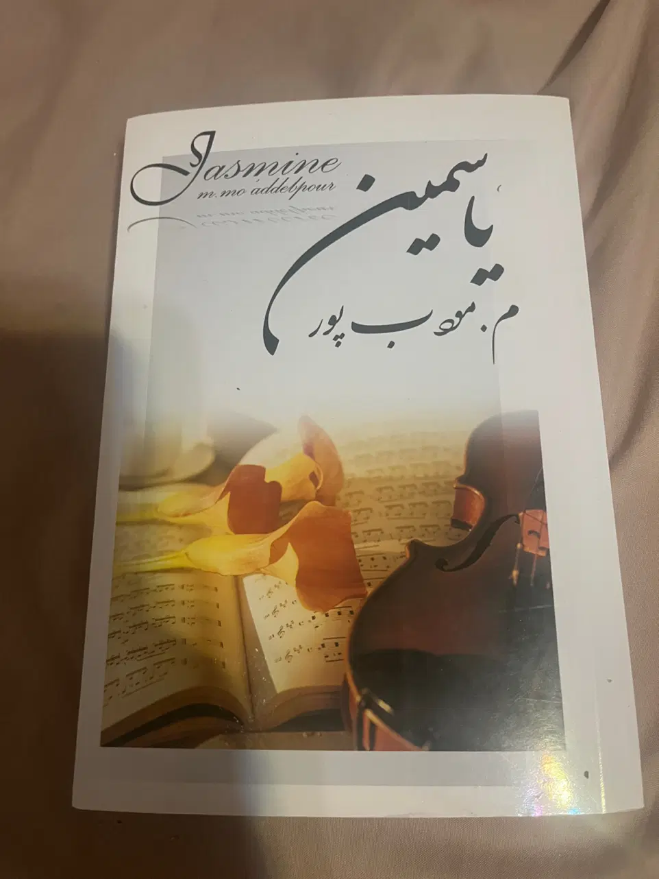 کتاب رمان نو|کتاب و مجله ادبی|تهران, افسریه شمالی|دیوار