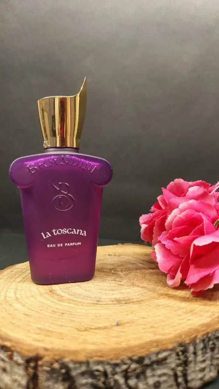 خوشبوترین ادکلن برندینی همگام شما در طبیعت|آرایشی، بهداشتی، درمانی|همدان, |دیوار