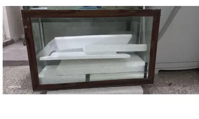 اکواریوم سالم وشیک|ماهی|دوگنبدان, |دیوار