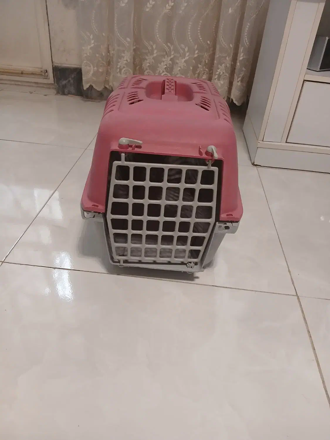 باکس گربه وسگ کوچک در حد نو|لوازم جانبی حیوانات|بروجرد, |دیوار