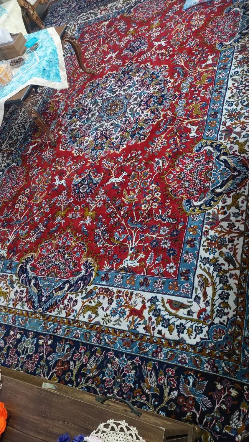 فرش خوش نقش کاشان|فرش|پاکدشت, پاکدشت (مامازند)|دیوار