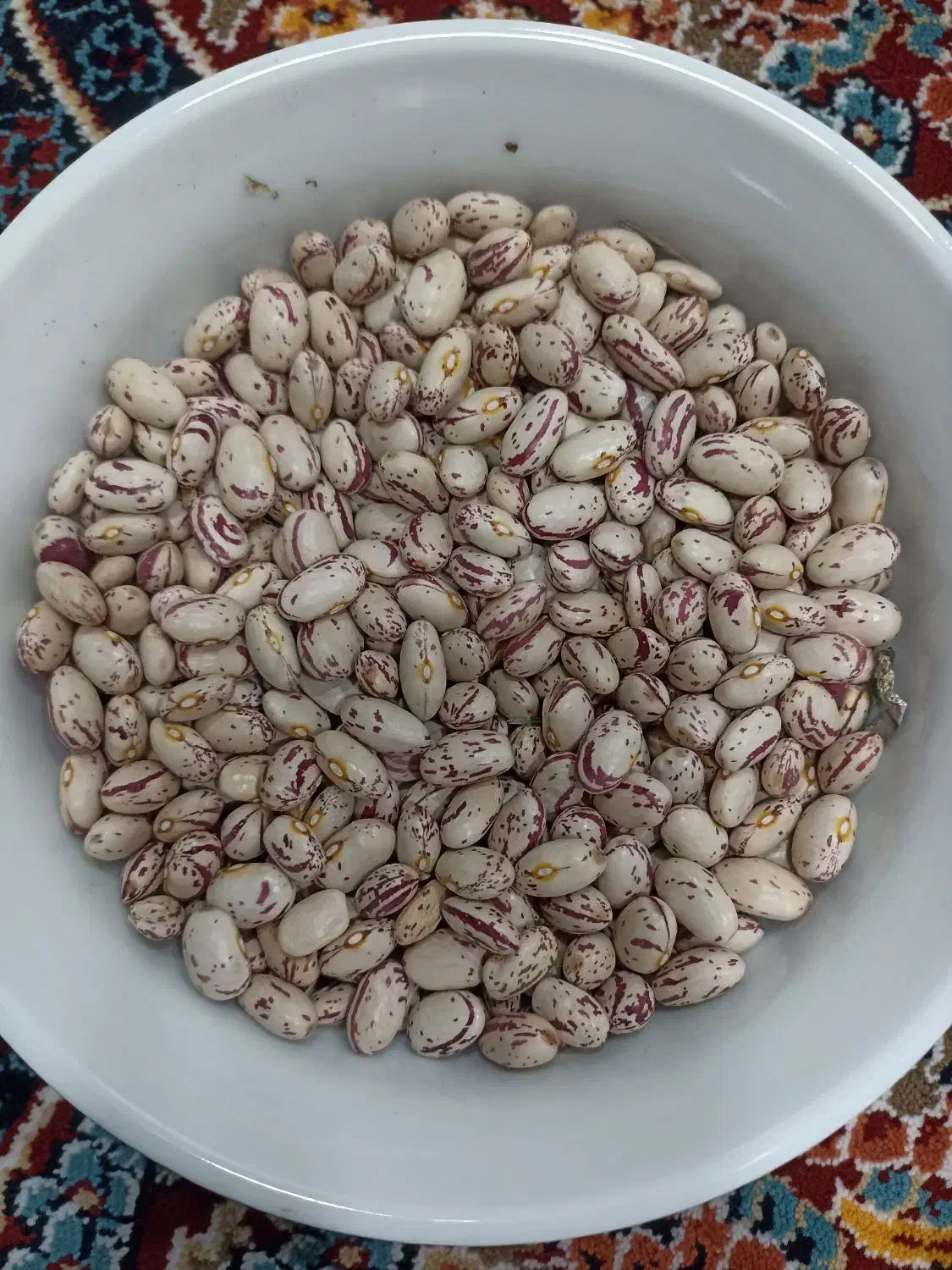 لوبیا چیتی اعلا تازه چین به شرط پخت|خوردنی و آشامیدنی|دوزین, |دیوار