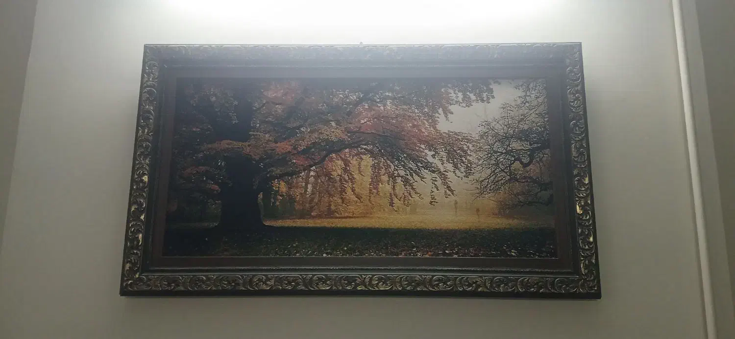 فروش تابلو فرش|تابلو فرش|شیراز, زرهی|دیوار