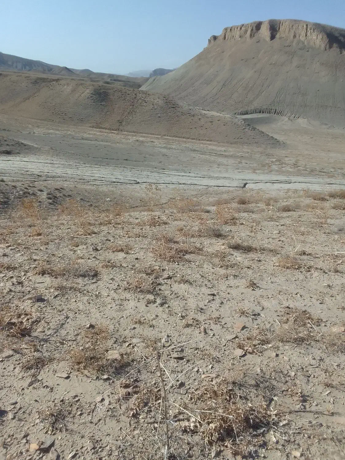 زمینکشاورزیدیمهزار|فروش زمین و ملک کلنگی|مشهد, کارده|دیوار