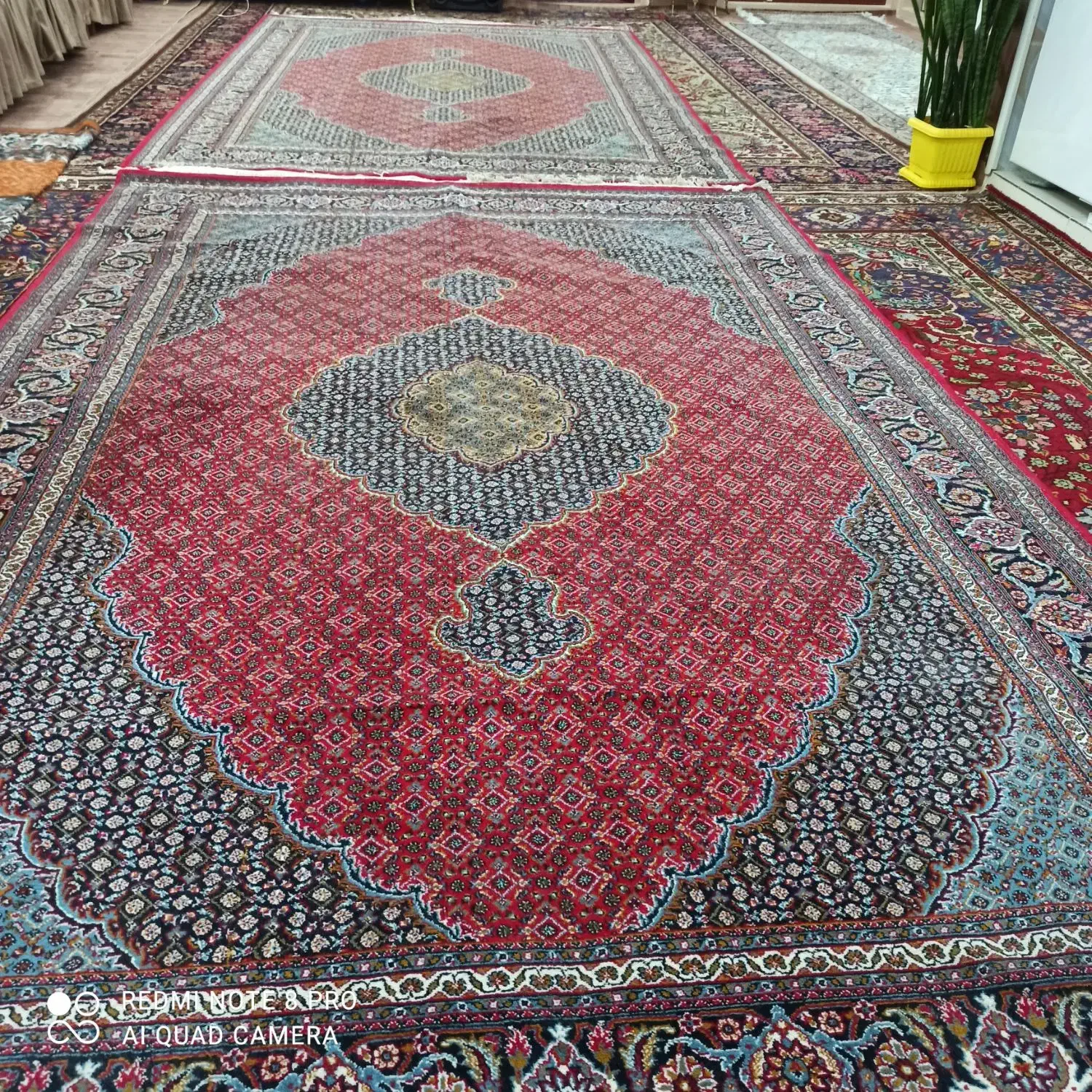 فرش ماهی|فرش|ارومیه, |دیوار