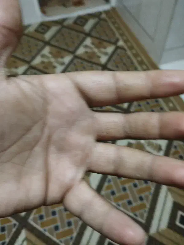 ۴ عدد کبوتر طوقی پلاکی کلی|پرنده|گله دار, |دیوار