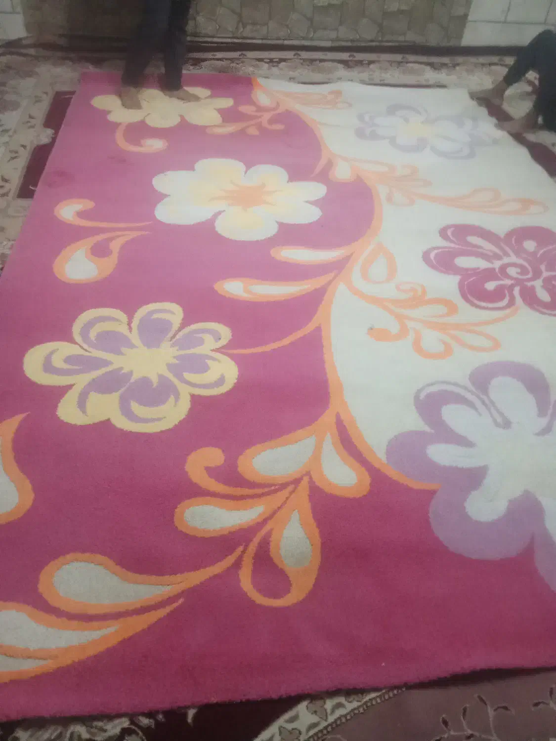 قالی فرش|فرش|داراب, |دیوار