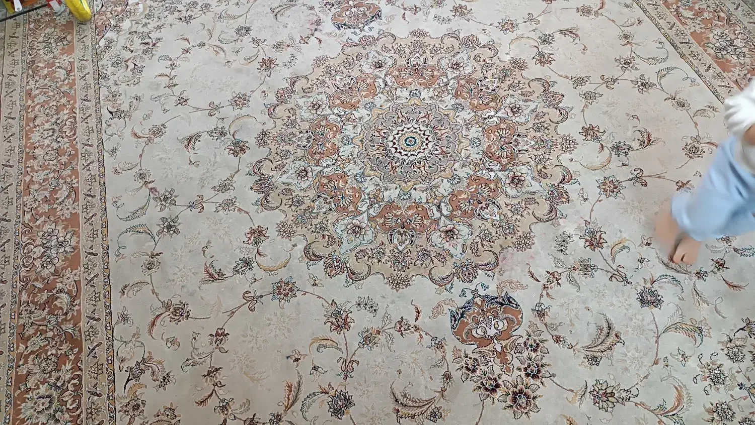 فرش ۱۲ متری|فرش|گلبهار, شهر جدید گلبهار|دیوار