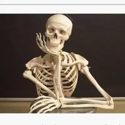 عروسک|اسباب‌‌بازی|ایرانشهر, |دیوار