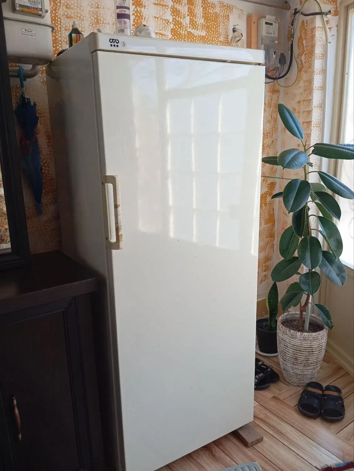 یخچال قدیمی|کلکسیون اشیاء عتیقه|اهر, |دیوار