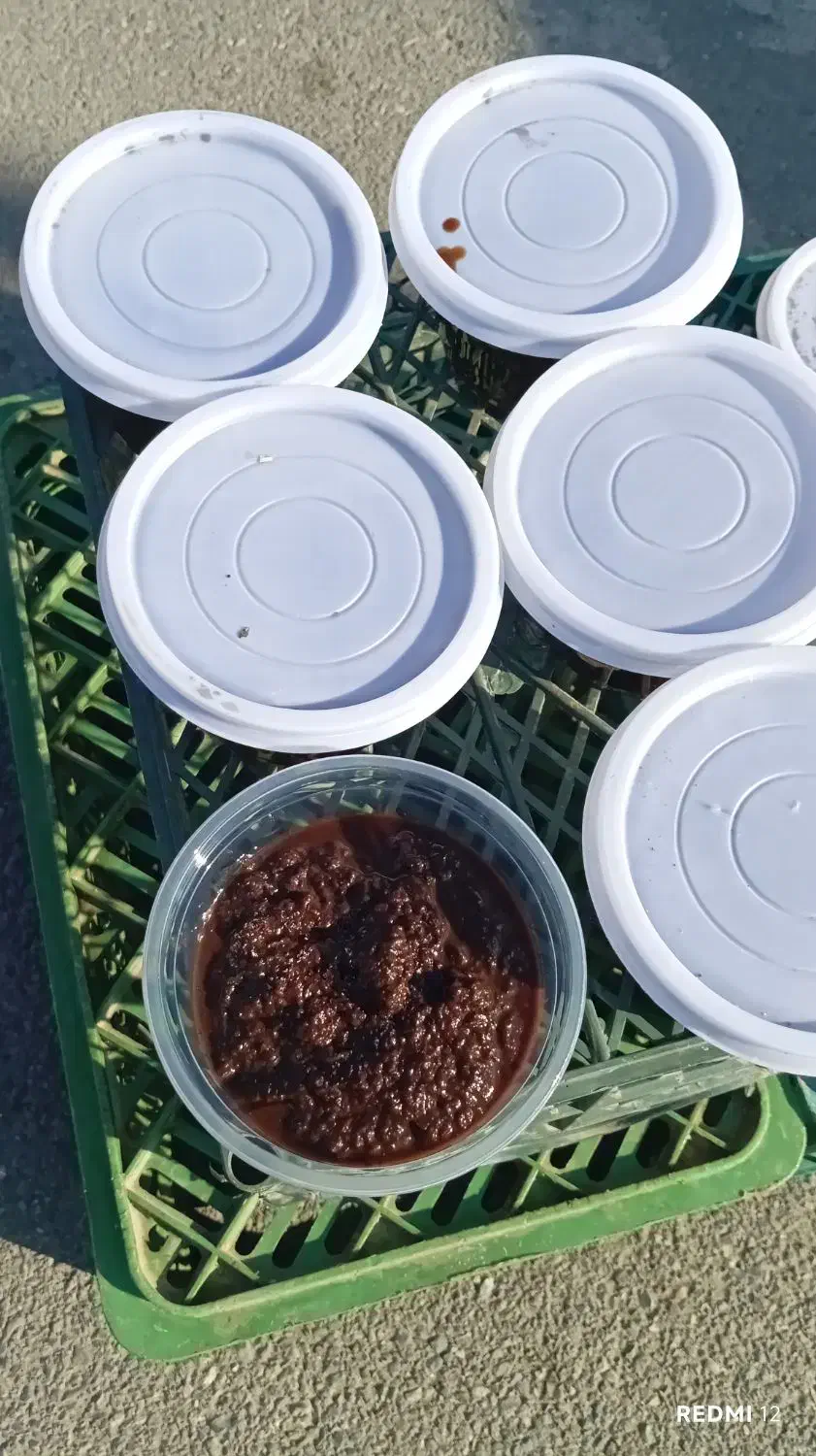 رب انار|عمدهفروشی|انبارآلوم, |دیوار