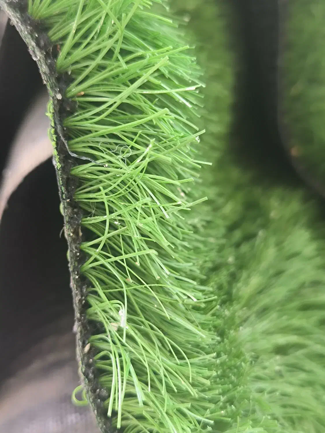 چمن مصنوعی|مصالح و تجهیزات ساختمان|اهواز, کیانپارس |دیوار