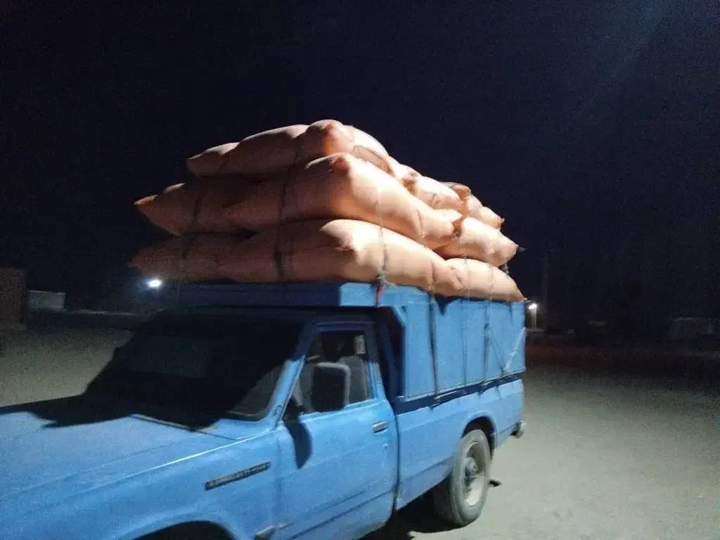 کاه گندم|خدمات باغبانی و درختکاری|چاه داد خدا, |دیوار