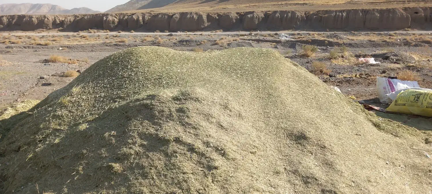 خارشتر کیلو ۱۰|عمدهفروشی|فریمان, |دیوار