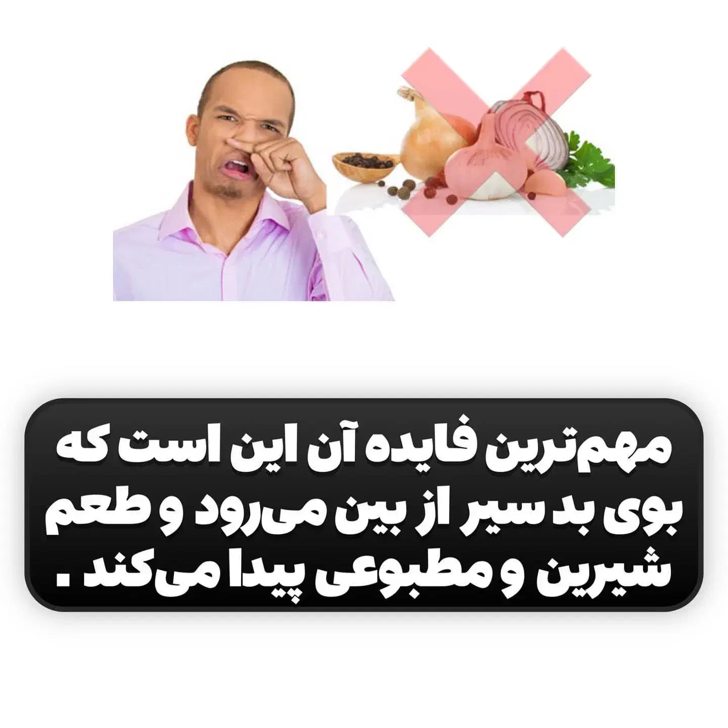 سیر سیاه|خوردنی و آشامیدنی|کرمان, |دیوار