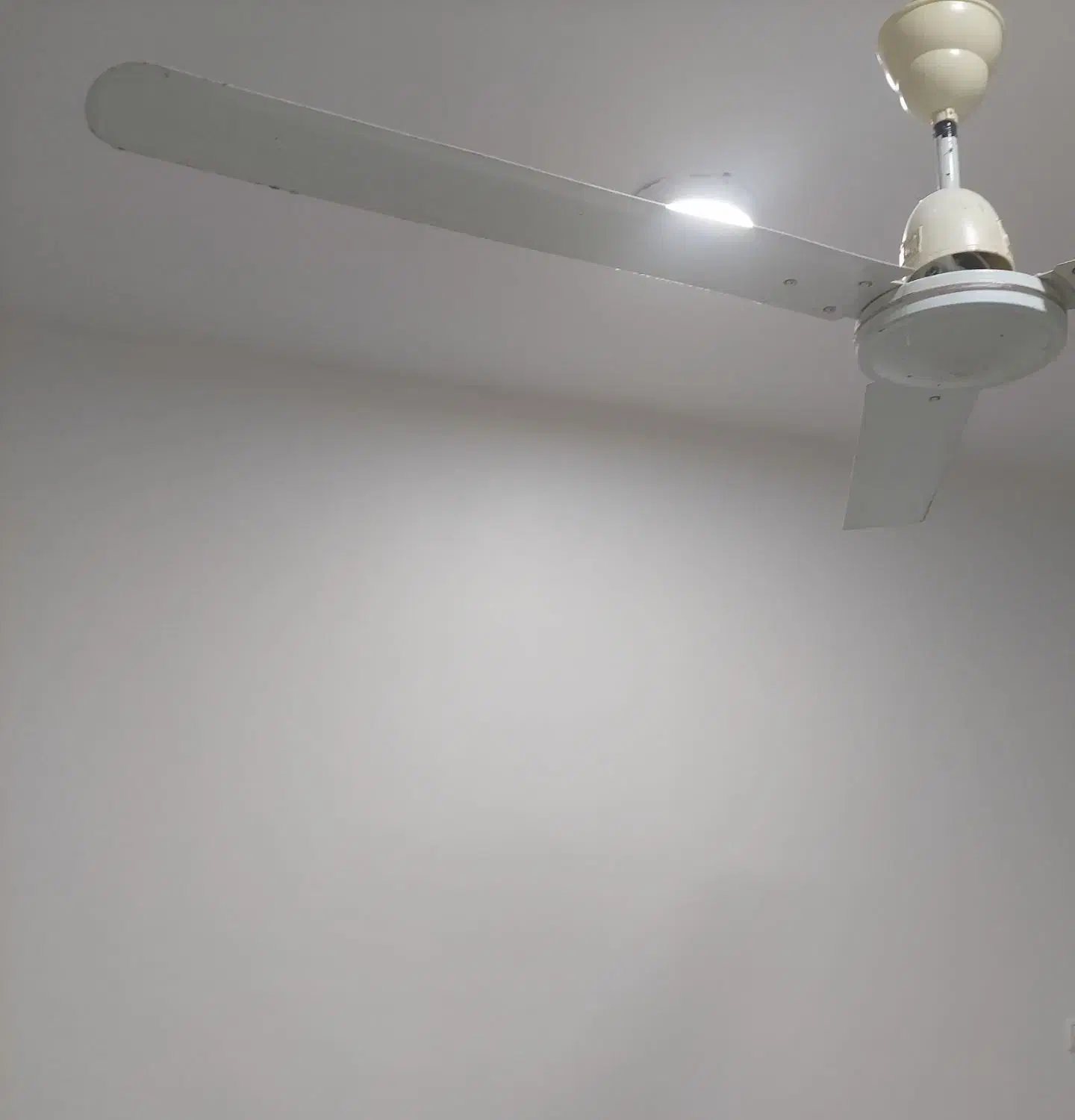 پنکه سقفی  smc|پنکه و تصفیه‌کنندهٔ هوا|اهواز, گیت بوستان|دیوار