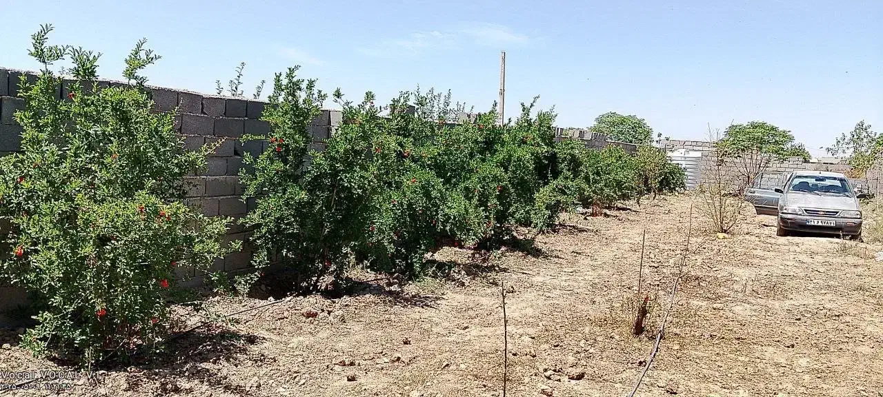 باغچه ۵۳۰ متری کهریزک جاده خاوران بعداز شریف اباد|فروش زمین و ملک کلنگی|شریف‌آباد, |دیوار