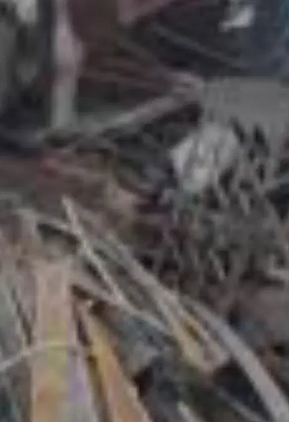 خرید ضایعات درب منزل|عمده‌فروشی|بوشهر, |دیوار