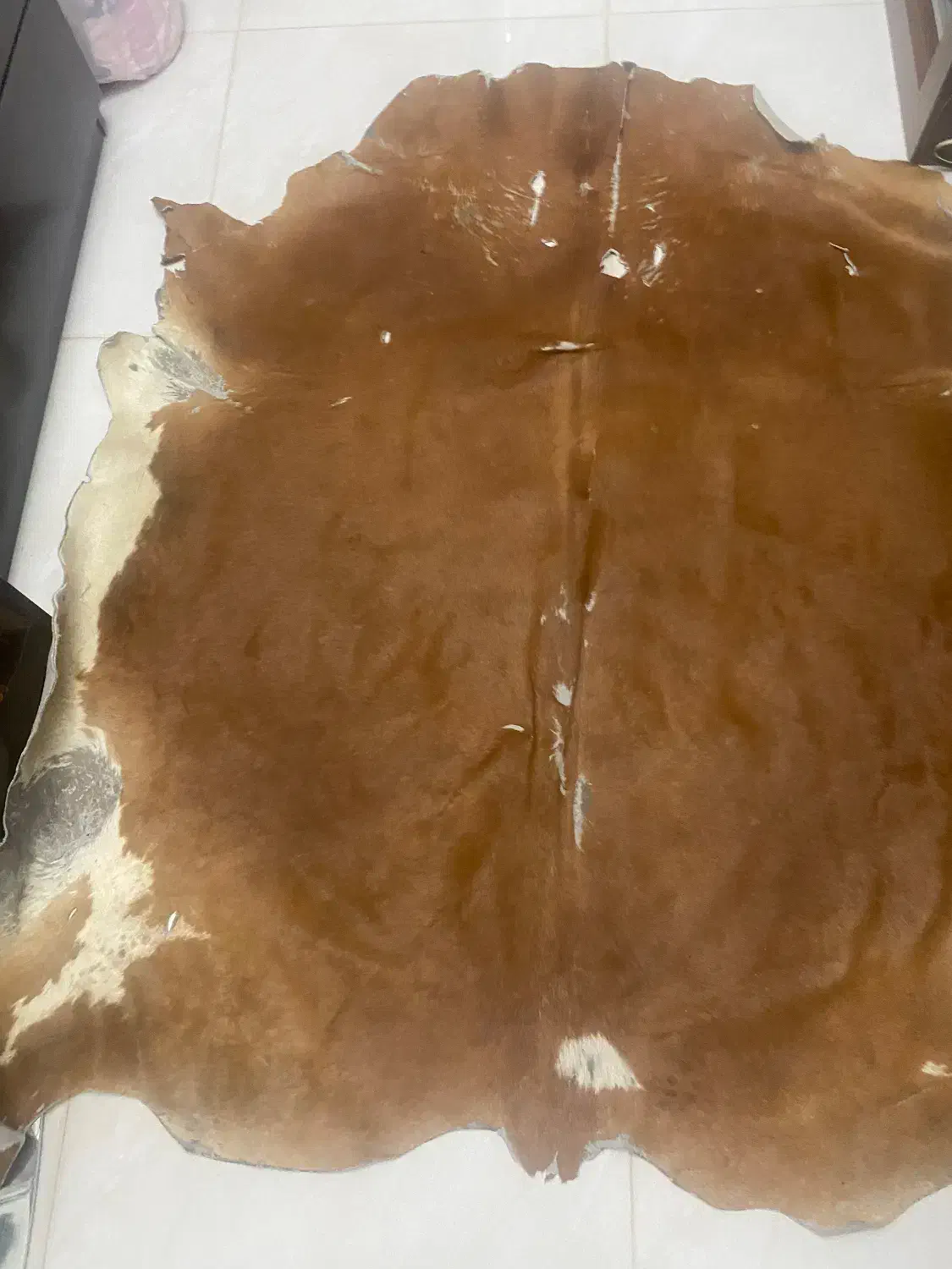 فرش پوست گاو|فرش|تهران, حشمتیه|دیوار