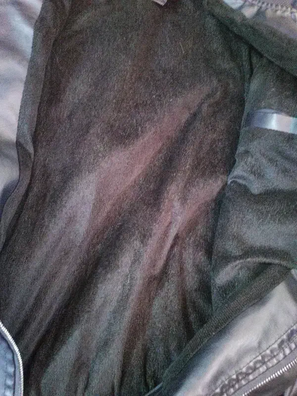 کاپشن چرم اصل|لباس|شیراز, دشت چنار|دیوار