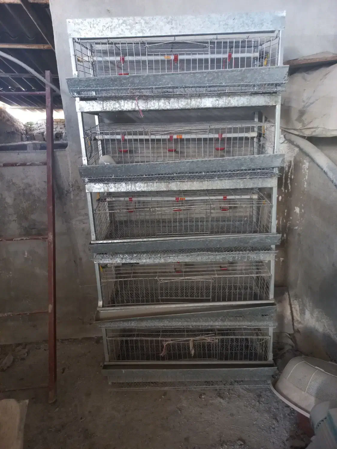 قفسه بلدرچین|لوازم جانبی حیوانات|کردکوی, |دیوار