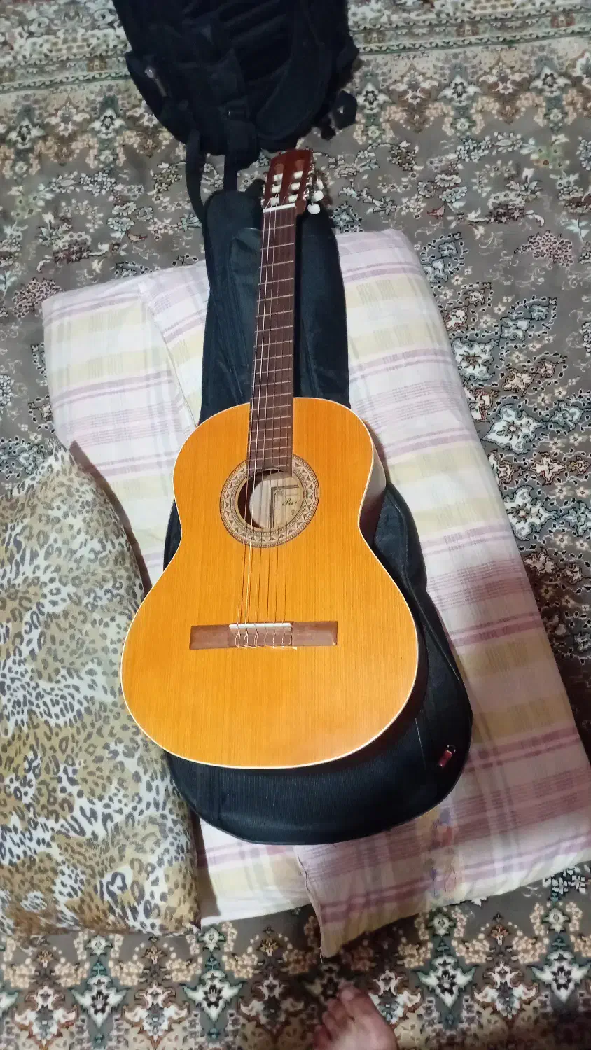 گیتار m5|گیتار، بیس، امپلیفایر|شهریار, یوسف آباد صیرفی|دیوار