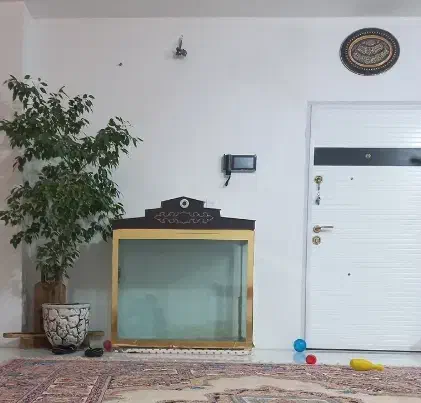 آکواریوم|ماهی|شاهین‌شهر, الهیه|دیوار