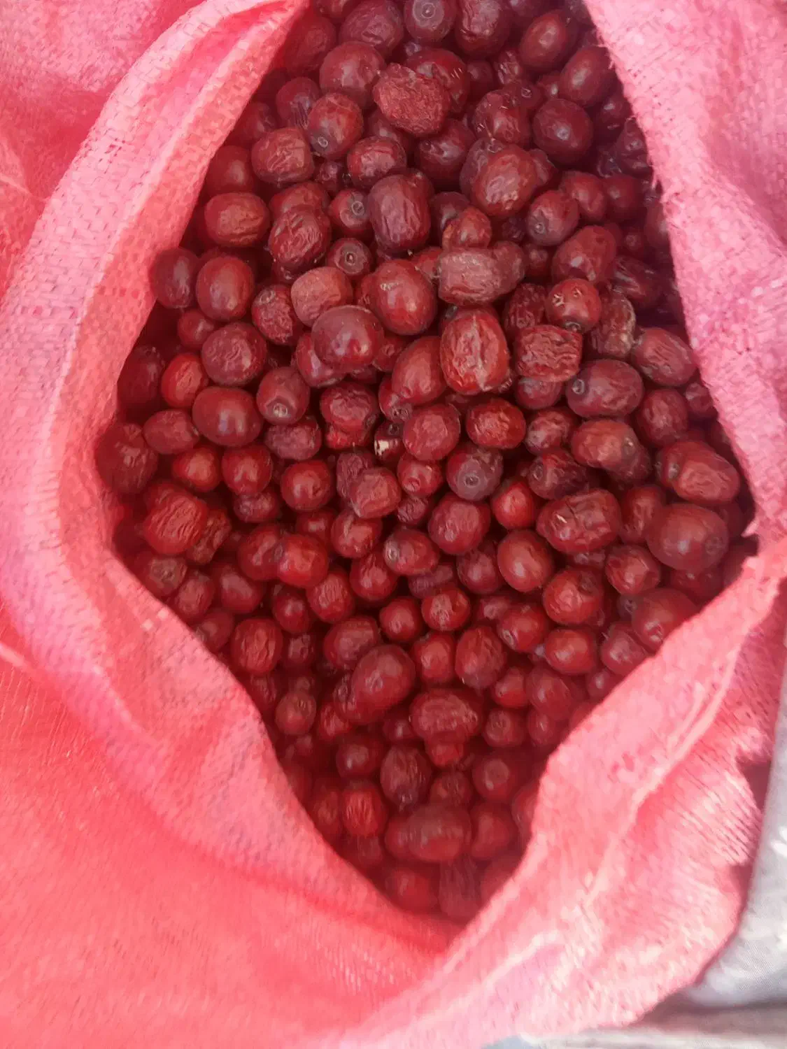 عناب ریزودرشت|عمدهفروشی|قائن, |دیوار